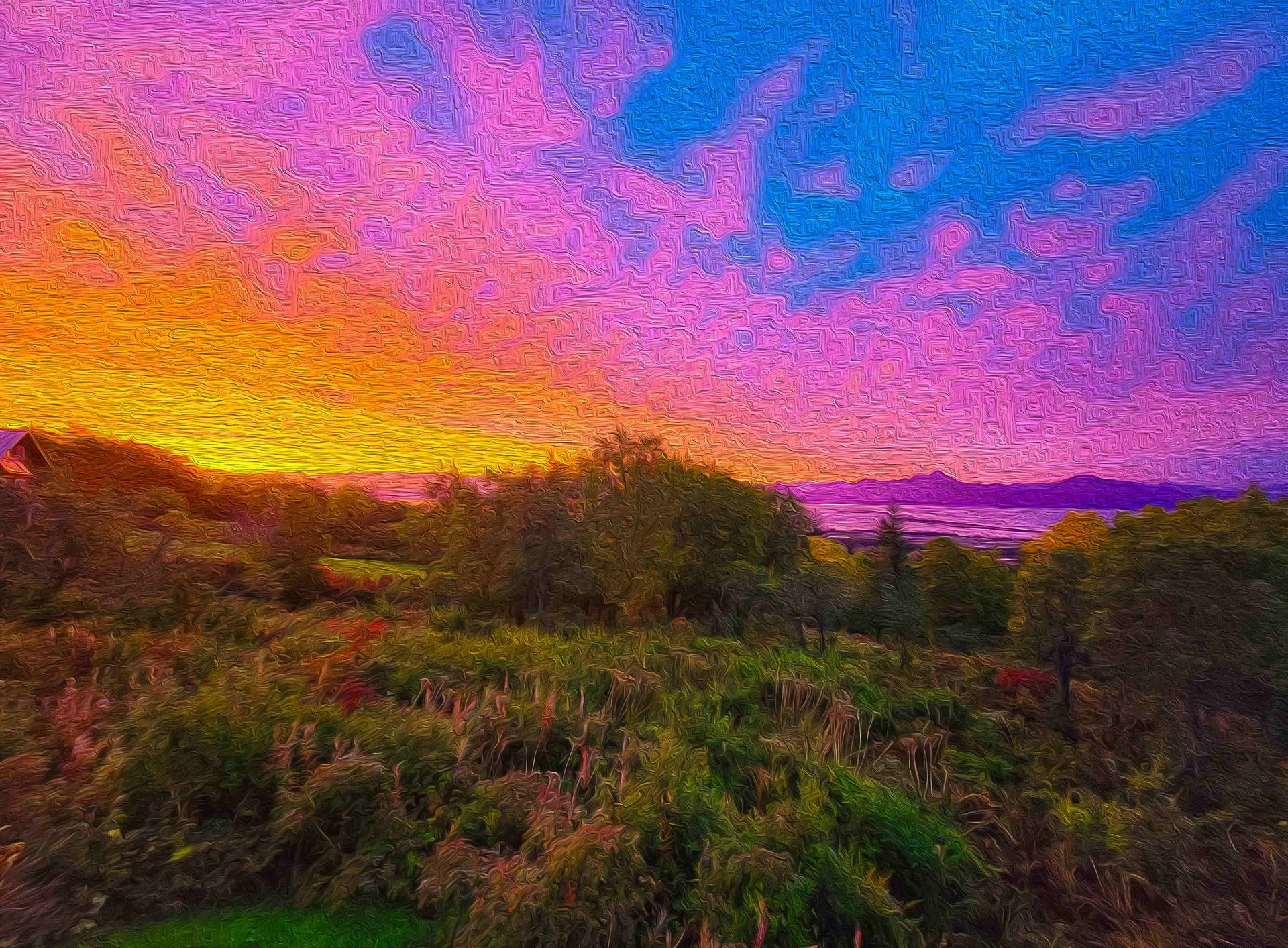 First Sunrise Supercolor Oil